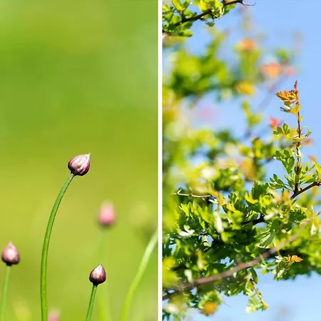 Lf10209-thyholm-markvejen-9 * Thyholm