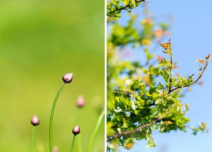 Lf10209-thyholm-markvejen-9 * Thyholm