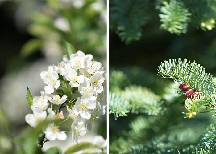 Lf10209-thyholm-markvejen-9 度假居 Thyholm